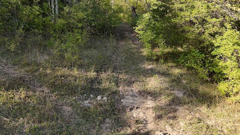 DJI_20251002170547_0388_D