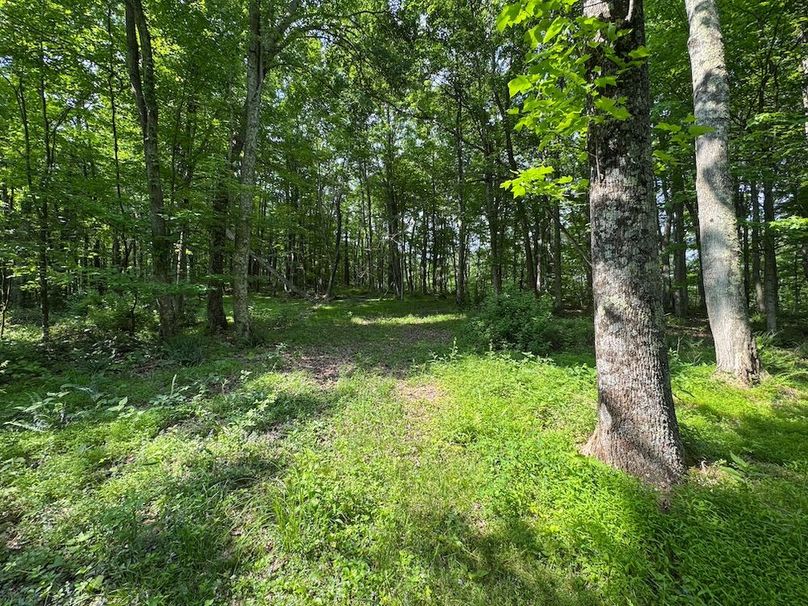 Pleasants, WV 168.59 AC Superior, Swank, Young-058
