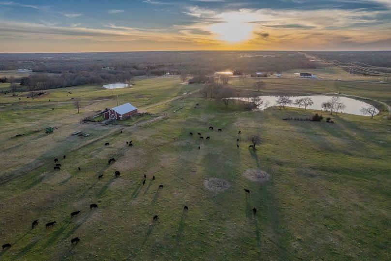 Fannin County- Pecan Ridge (8 of 53)