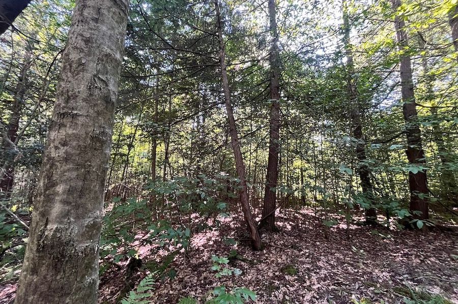 Chemung_10.725_Rouseland_Lot6_Photos_19