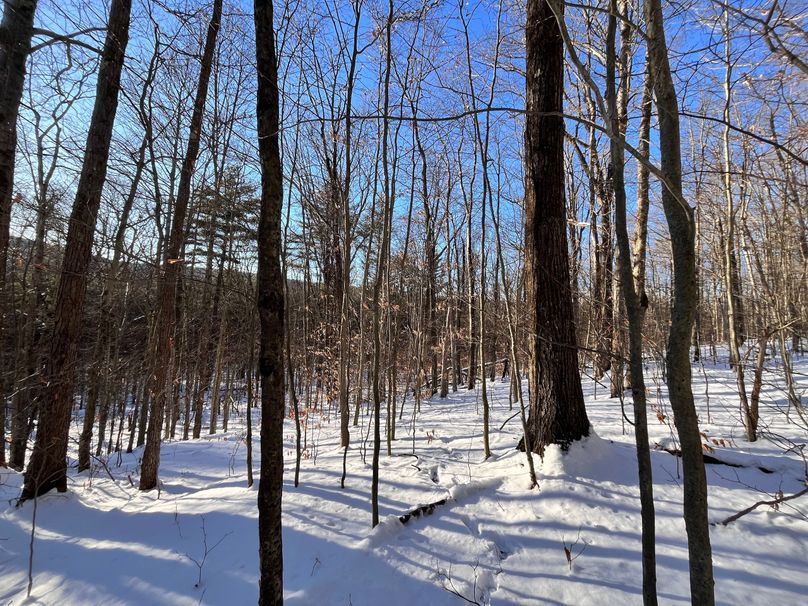 Tioga_11.9_Kilroy_Photos_29