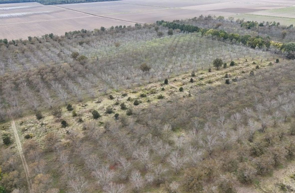 dji_fly_20251107_043008_0026_1762484050527_photo