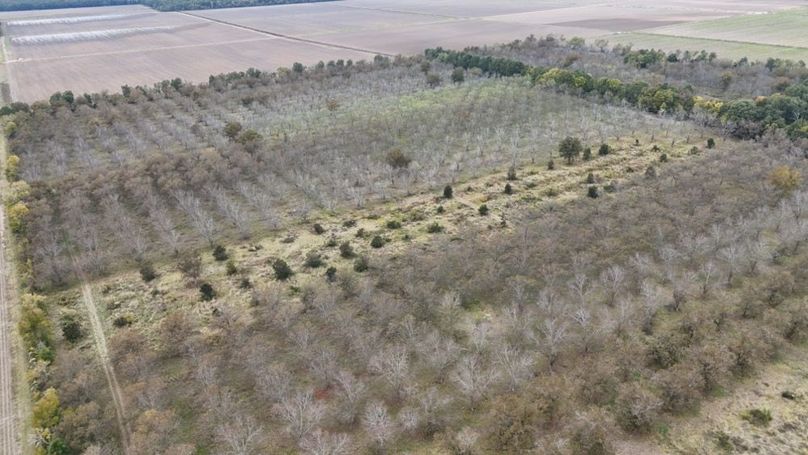 dji_fly_20251107_043008_0026_1762484050527_photo