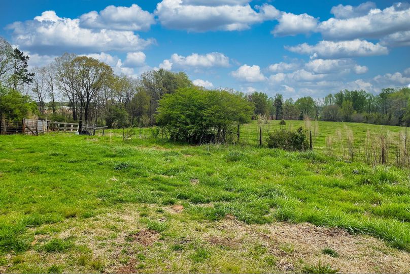 18 Pasture with Fencing 01