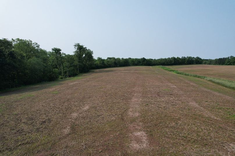 dji_fly_20250611_091540_7_1749647891575_photo