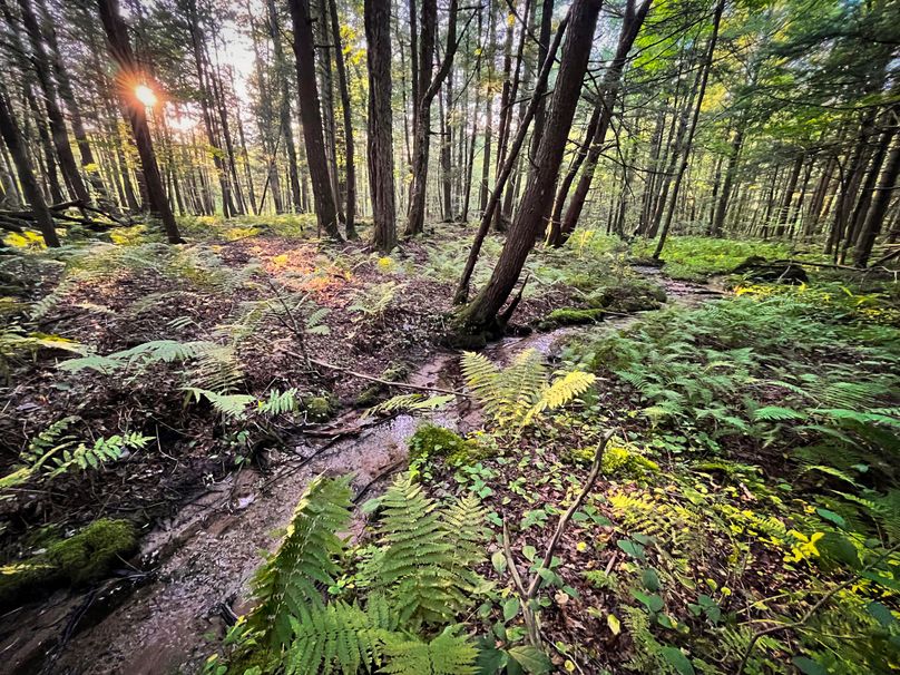 Oswego_30_RouselandInvestments_LLC_Photos_9