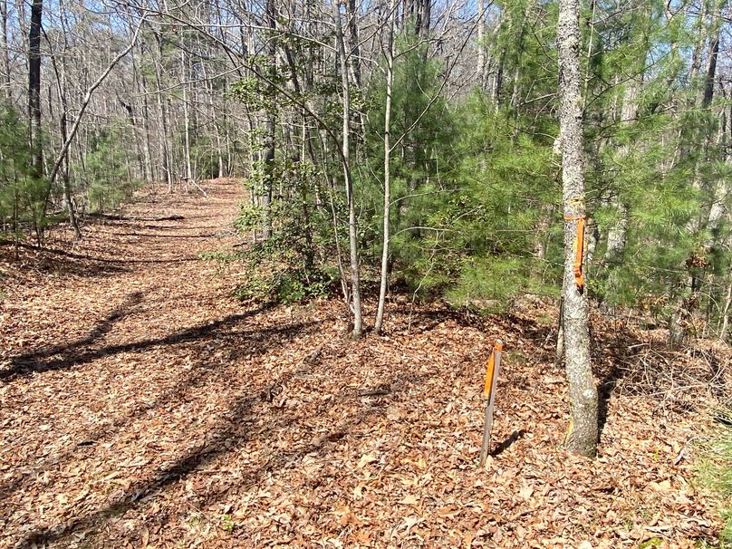 Cherokee 69.74 Stiles-35