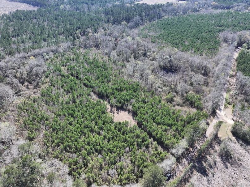 dji_fly_20260302_130212_0333_1772559703142_photo