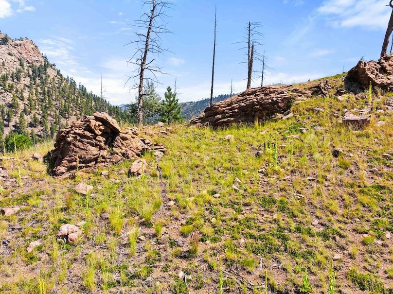 DJI_20250813111924_0080_D_1