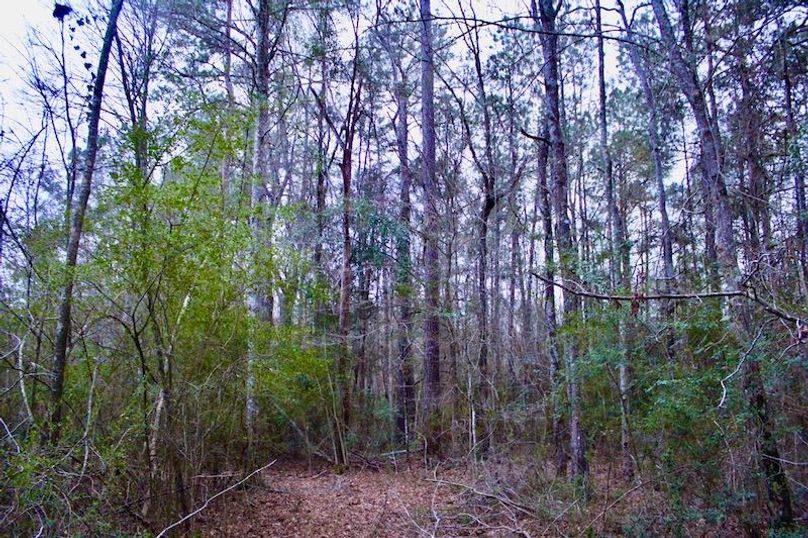 92F0D07A-8D55-4E18-9FE7-F35B9CA31572_1_105_c