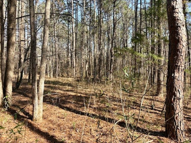 AF98A0A1-BFD7-4482-81DA-902E5BC68851_1_105_c