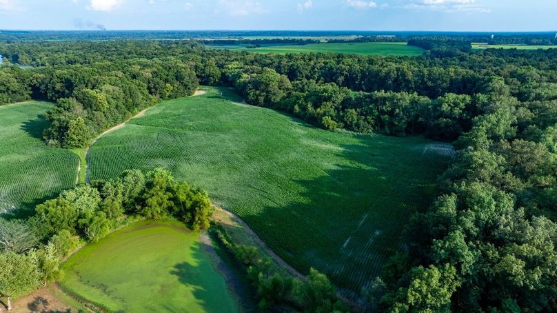 Copy of DJI_20250806051811_0011_D Large