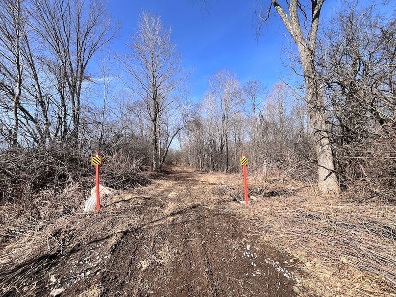 Lewis_26_Somberg Photo 50