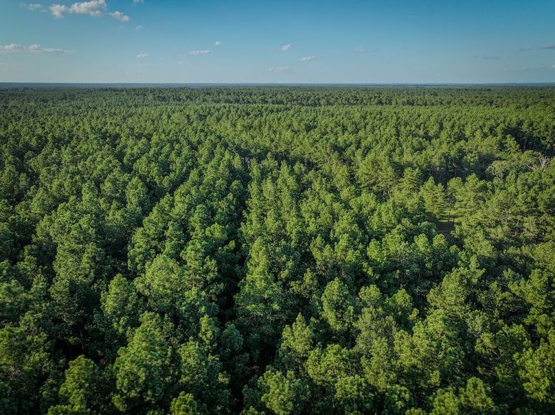 Copy of DJI_20240704190249_0020_D