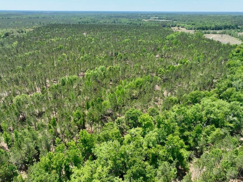dji_fly_20260429_134102_642_1777484652349_photo