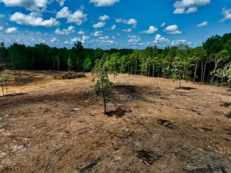 0DECF148-6364-48AF-B0C2-D716C960596E_1_105_c