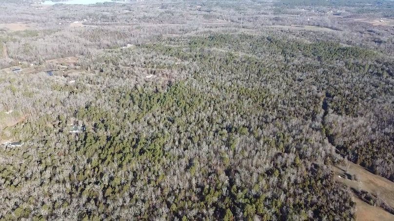 2024-02-06-09-03-41-387