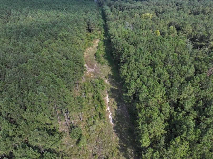 dji_fly_20250915_161322_0485_1758029007864_photo