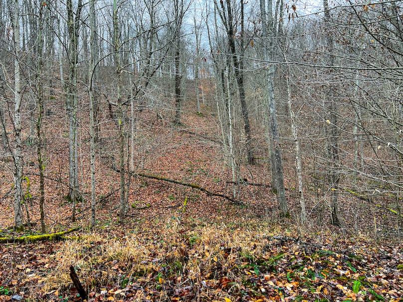 Calhoun, WV 225.69 AC Duffield-40