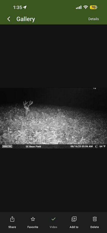 trailcam23