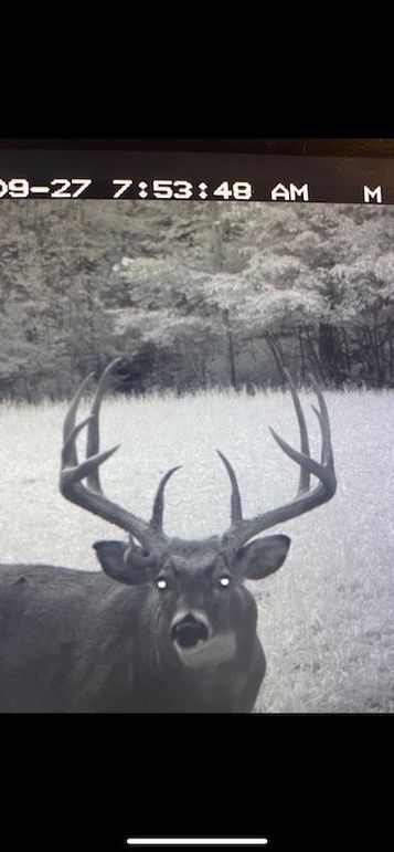 6E6DE6A1-AA60-4E8D-8789-1416DF4B49B4_1_105_c