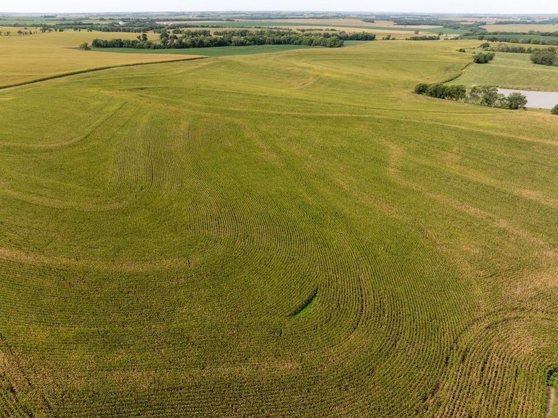 Copy of DJI_20250827111842_0021_D