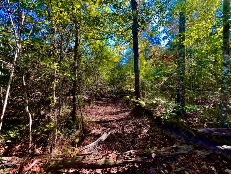 E560CBD1-CF38-4E10-9275-FE7CD370691F_1_105_c