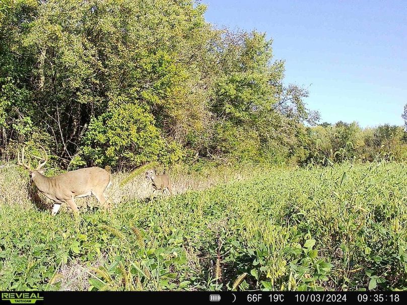 860322065657501-100-4-10032024150252-HD-SYFW5722