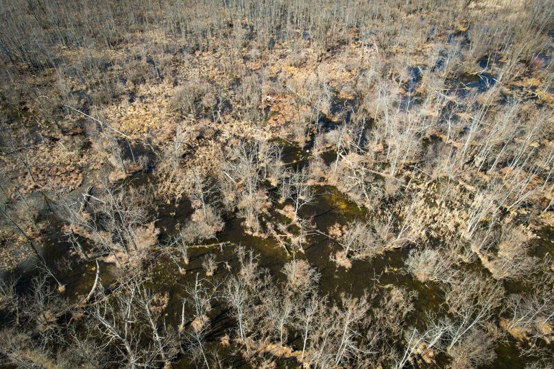 Oswego_165.52_Lashomb_Photos_32