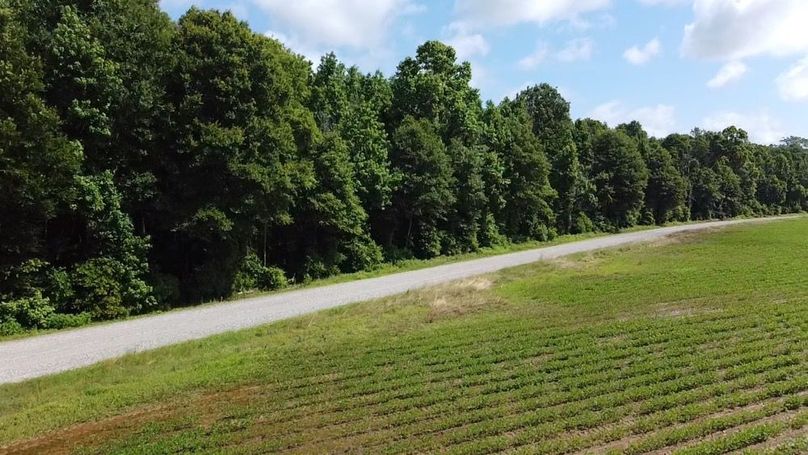 2024-06-01-10-27-39-191