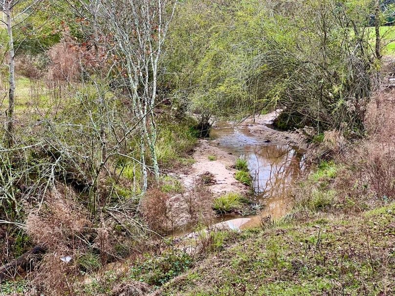 4D1223EE-0619-420F-85C9-53CA985D5CC7_1_201_a