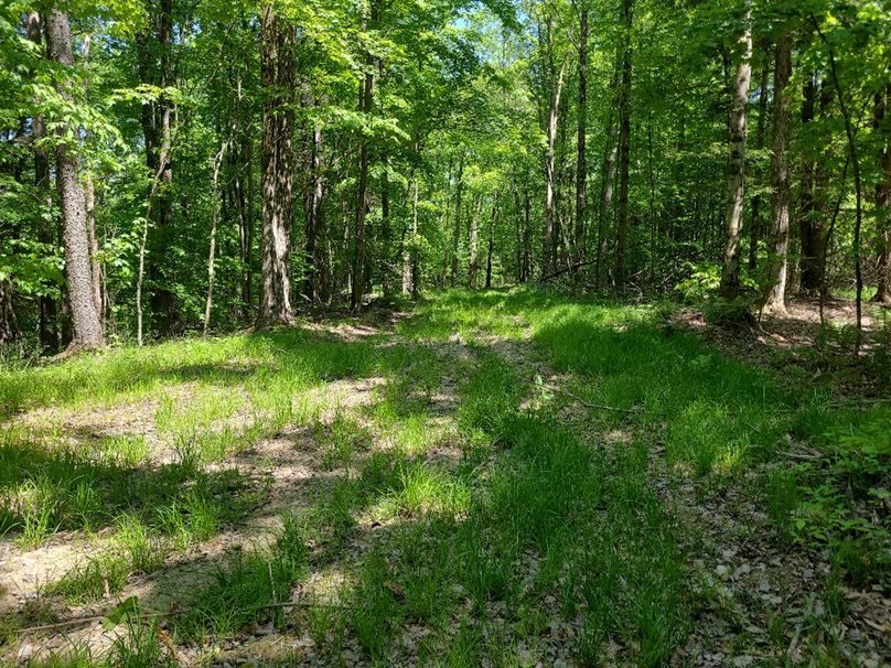 photo_c50e12db-90cb-454b-8b83-4a6ed6f863de