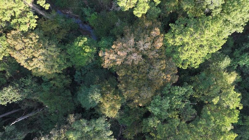 DJI_20250918080722_0122_D