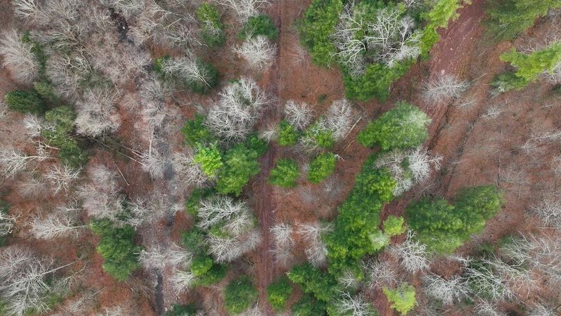 Lycoming PA 1006 Pro Photo-14