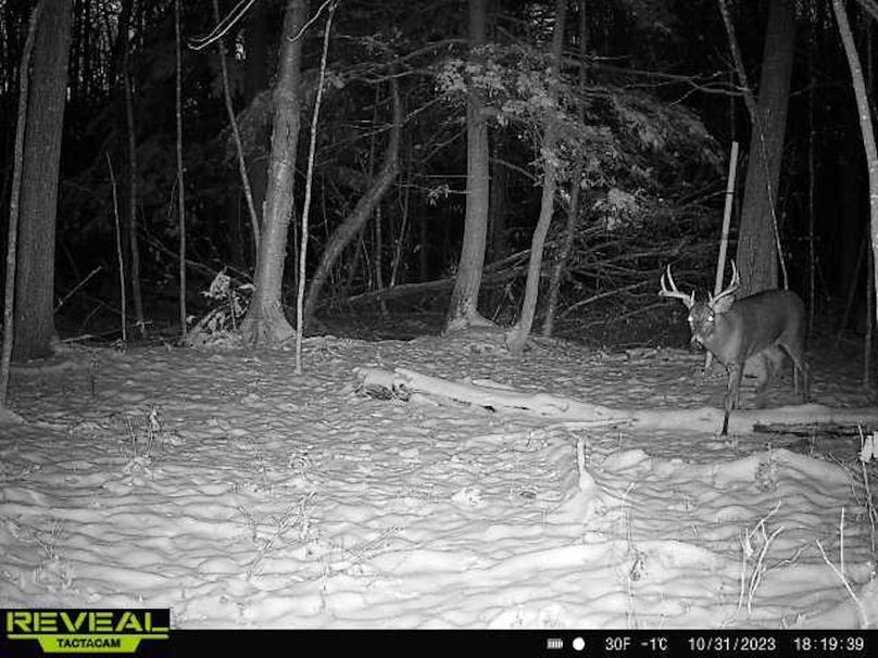 865814048154676-100-2-10312023181940-W1004056