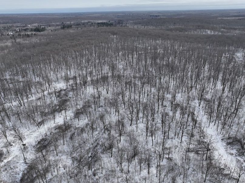 DJI_20250221112709_0018_D