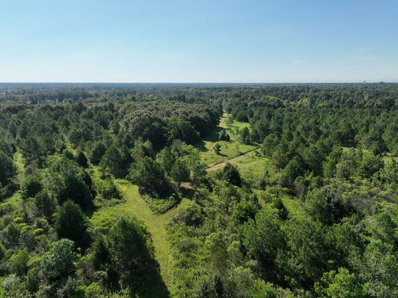 dji_fly_20240827_095434_743_1724766982482_photo