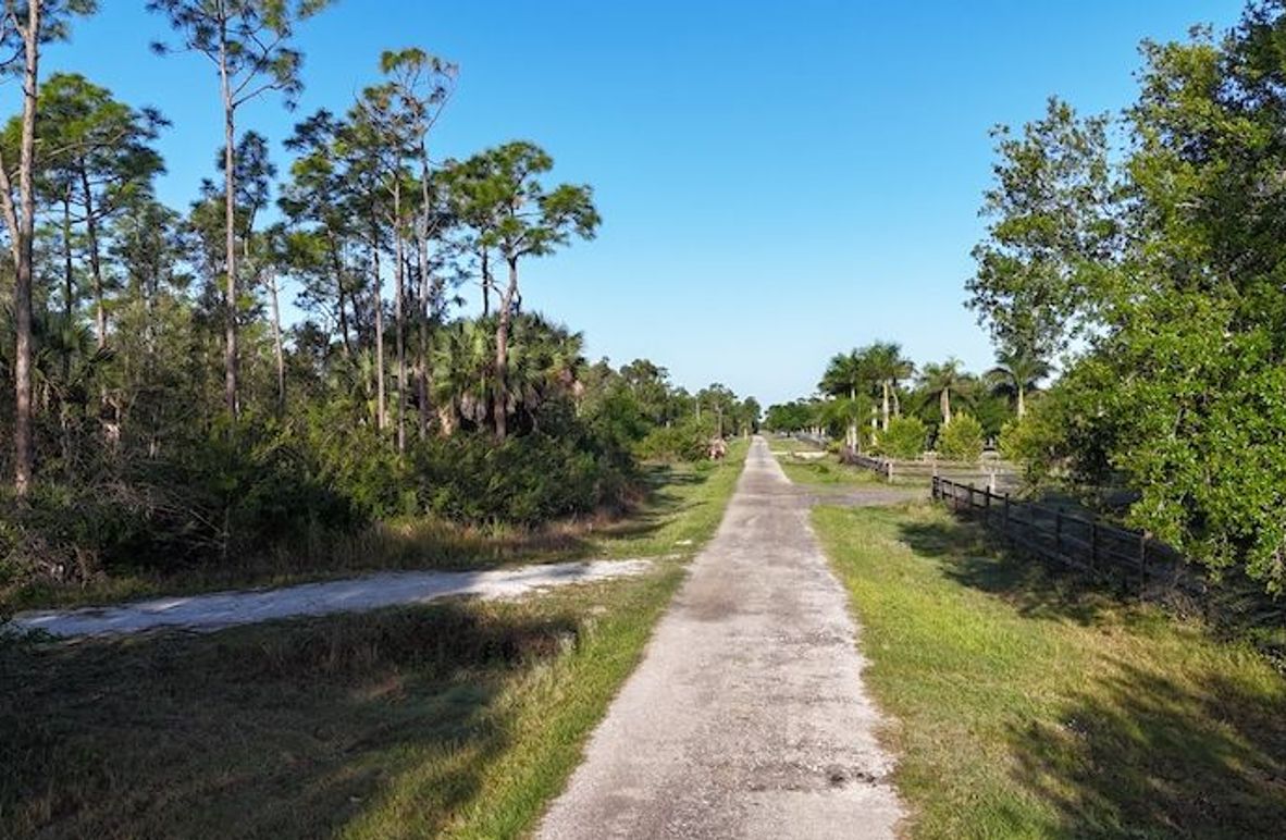 DJI_20260402084156_0409_D