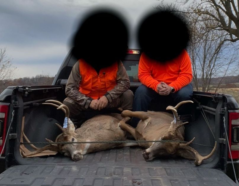 54.03 Houston Deer-13