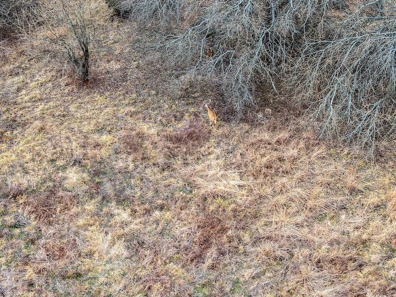 DJI_20260119104253_0719_D