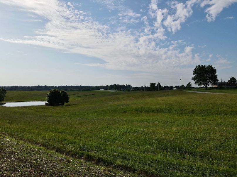 dji_fly_20230531_092726_404_1685539653829_photo