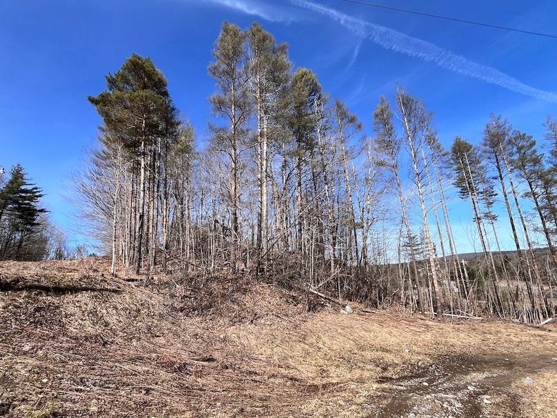 Lewis_26_Somberg Photo 21