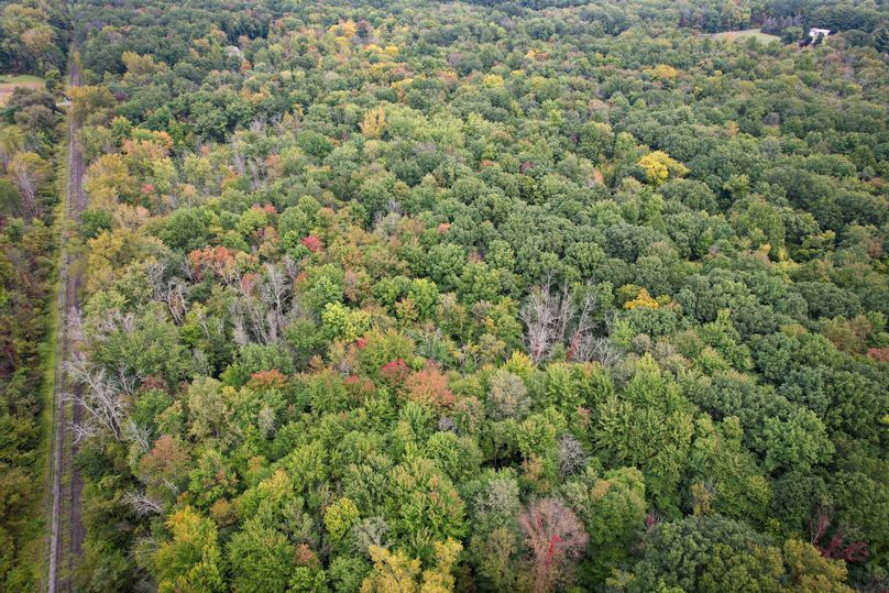 Ontario_16.2_Eddington Photo 7