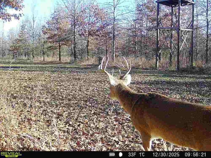 860516067536189-80-2-12302025095620-V-W1001518