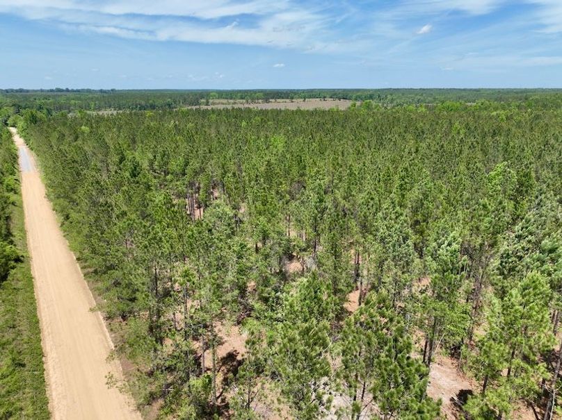 dji_fly_20260429_133548_625_1777484800024_photo