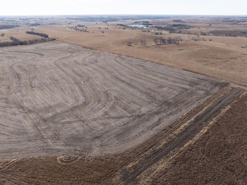 DJI_20260112135532_0079_D