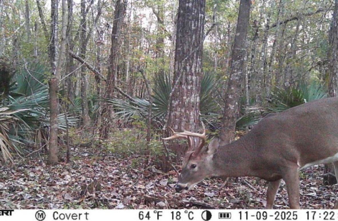 11_09_2025_17_22_13_3245560588