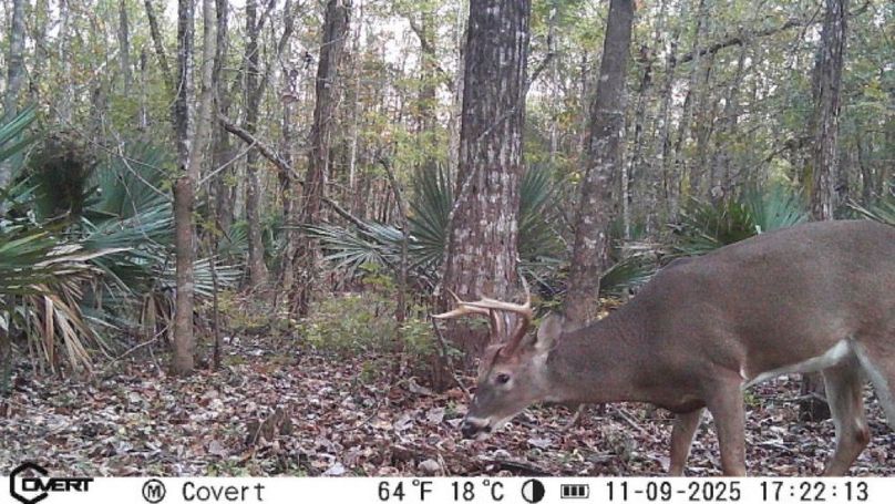 11_09_2025_17_22_13_3245560588