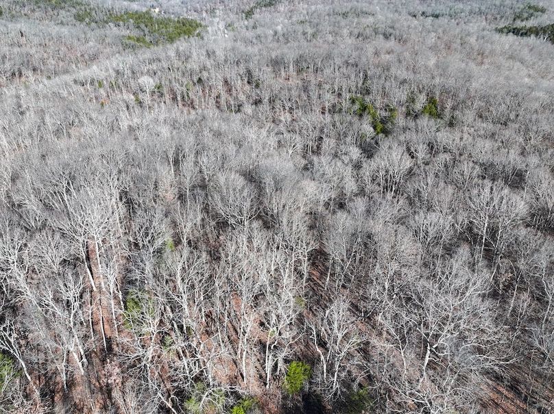 DJI_20251219113916_0889_D