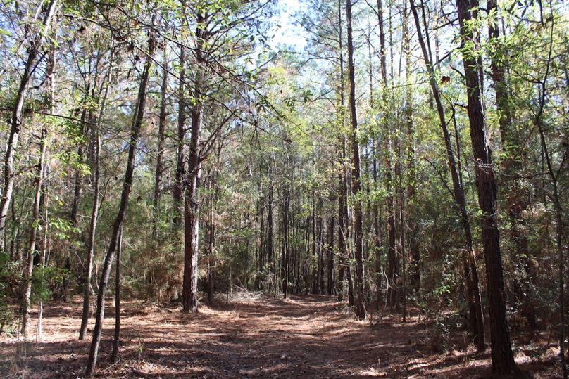 D70EFC7E-16B2-4073-9EB8-B6C4C8730716_1_105_c